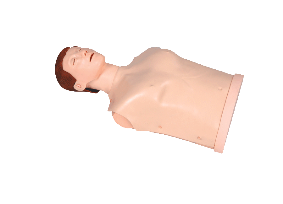 CPR Training Simulator / Manikins