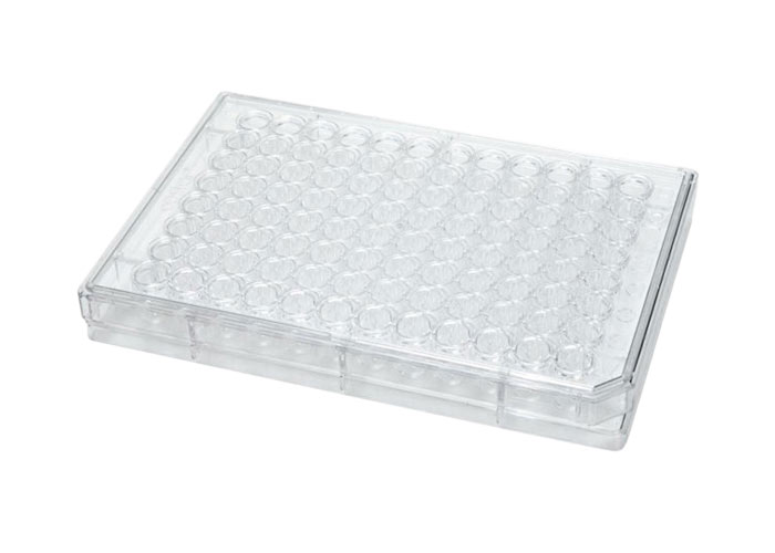 Immunology Box, Polystyrene