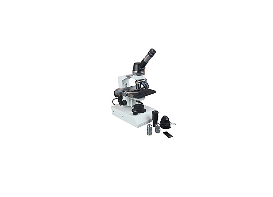 Lab Microscopes