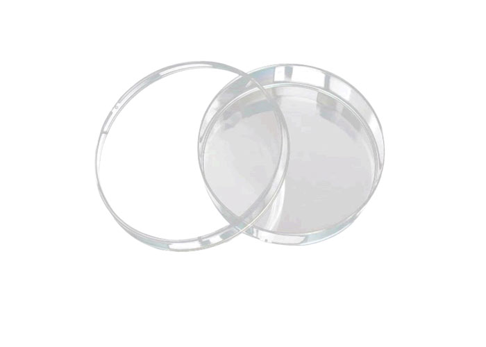 Petridish Glassware