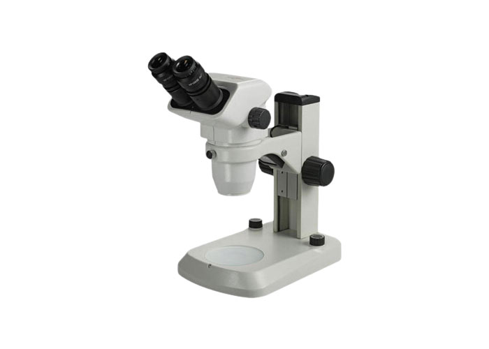 Stereo Microscopes